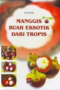 Image of MANGGIS BAUH EKSOTIK DARI TROPIS
